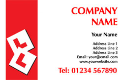 driving instructor business cards (3458)