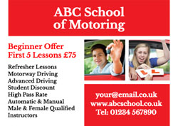 driving instructor flyers (913)