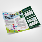 Brochure Printing