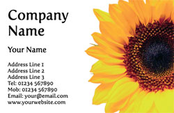florist business cards (3499)