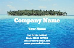 travel business cards (3678)