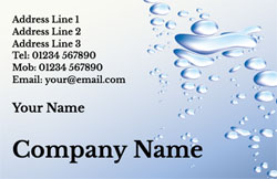 business card (3721)