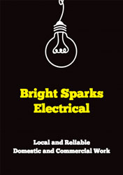electrician flyers (2460)