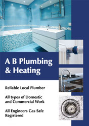 plumbing flyers (2564)