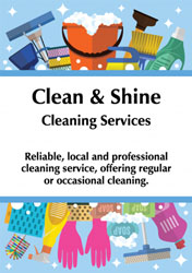 cleaning flyers (4549)