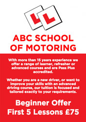 driving instructor flyers (904)