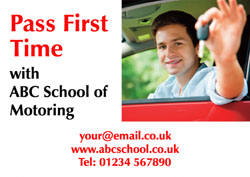 driving instructor flyers (921)