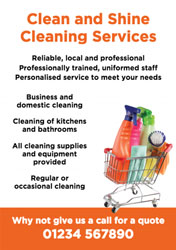 cleaning flyers (2394)