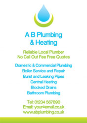 plumbing flyers (2558)