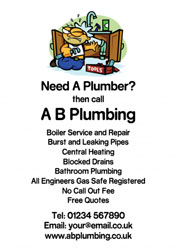 plumbing flyers (2568)
