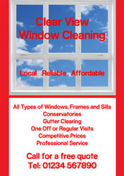 window cleaning flyers (2650)