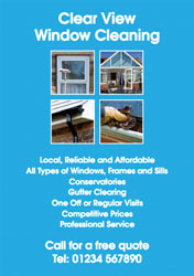 window cleaning flyers (2653)