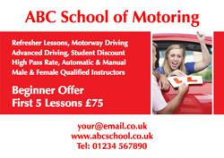 driving instructor flyers (905)