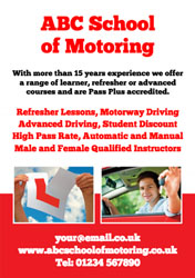 driving instructor flyers (908)
