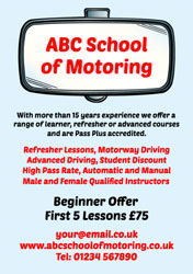 driving instructor flyers (910)