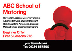 driving instructor flyers (917)