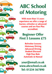 driving instructor flyers (918)