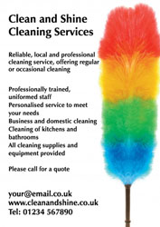cleaning leaflets (4041)