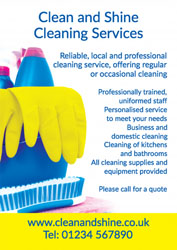 cleaning leaflets (4042)