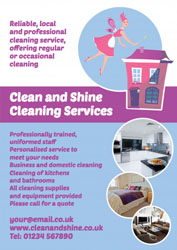 cleaning leaflets (4047)