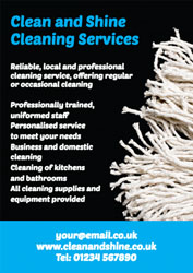 cleaning leaflets (4054)
