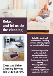 cleaning leaflets (4063)
