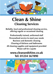 cleaning leaflets (4542)